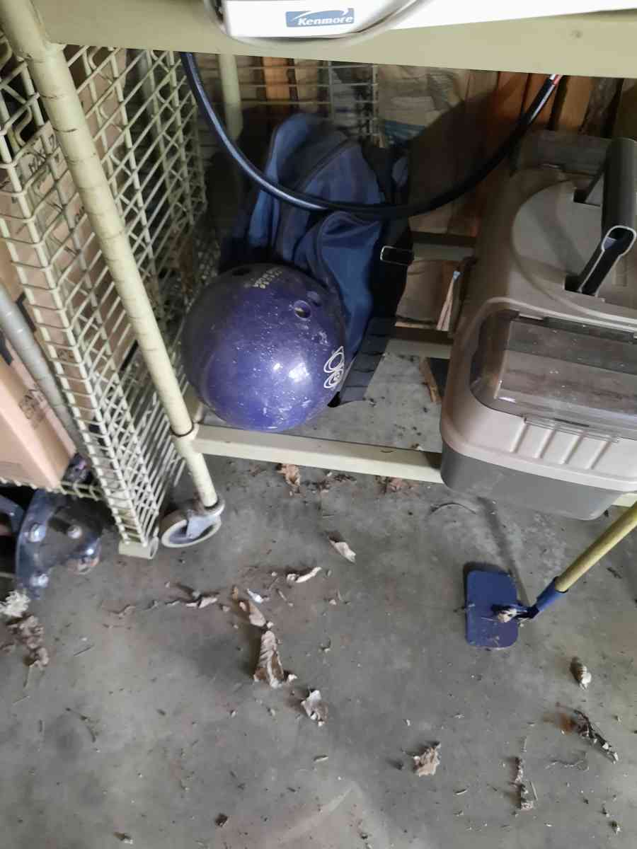 we have 2 bowling balls I in a case and 1 that doesnt have o - Magnolia, Illinois