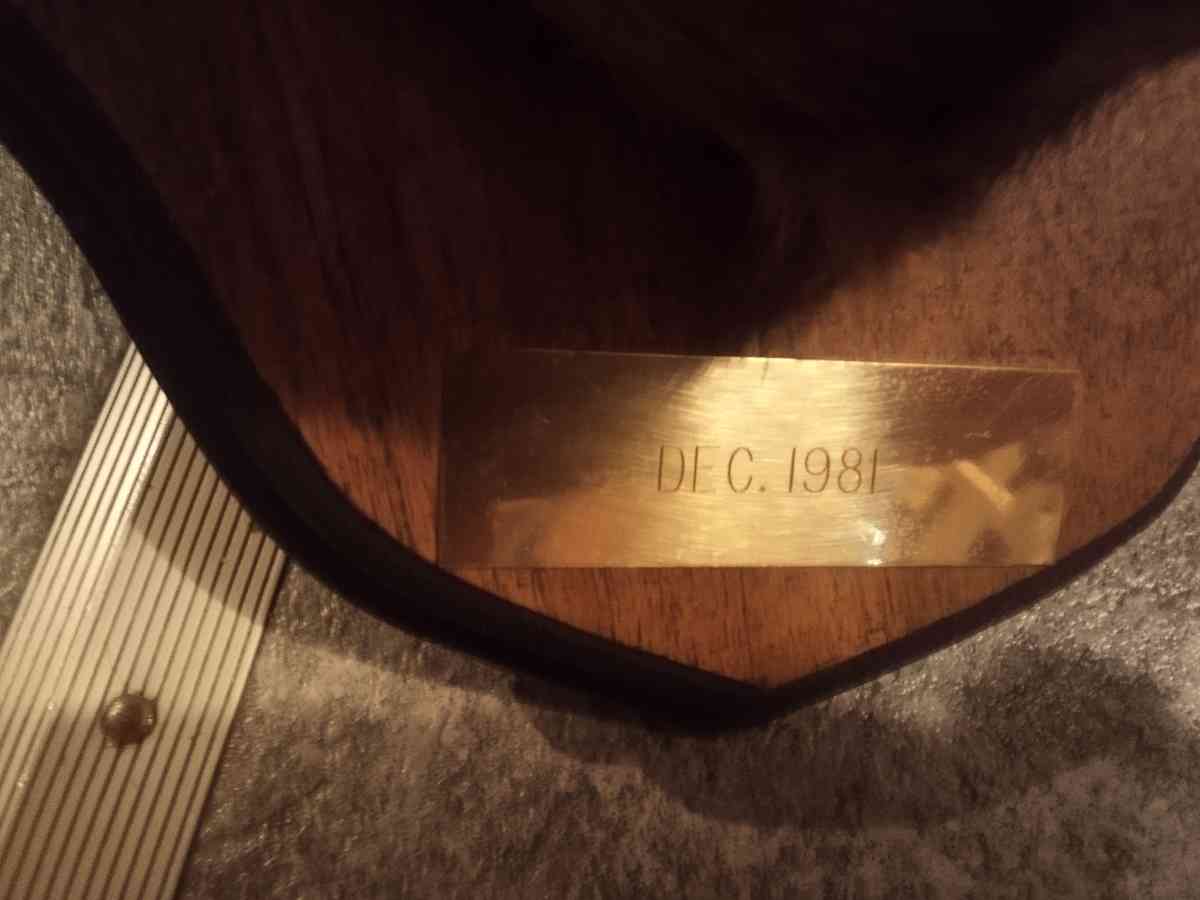 1981 Mounted White tail Deer - Jackson, Louisiana - FleaMarketBay