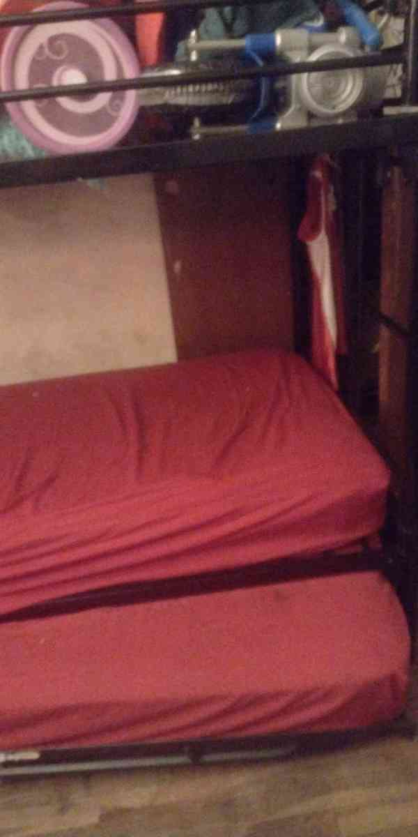 Trundle bunk bed - Bedford, Indiana