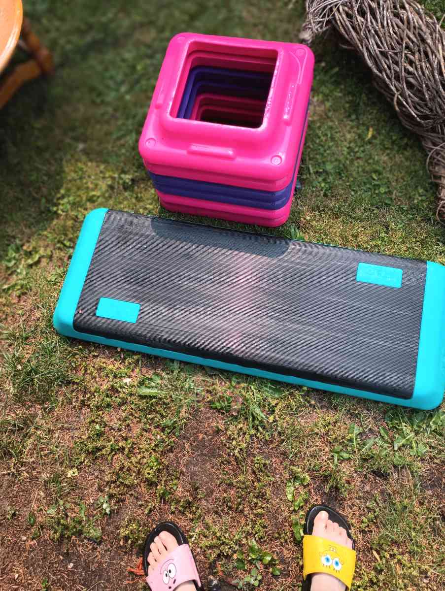 The Step Aerobics Stepper - Manteno, Illinois