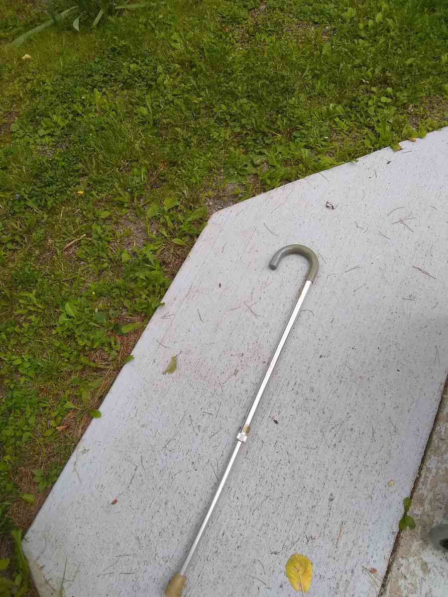 Guardian Cane - Hemlock, New York