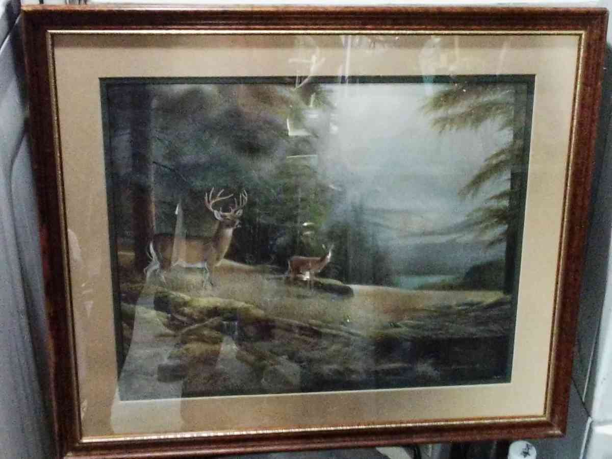 Antique Framed Home Decor Pictures - Fayetteville, Tennessee