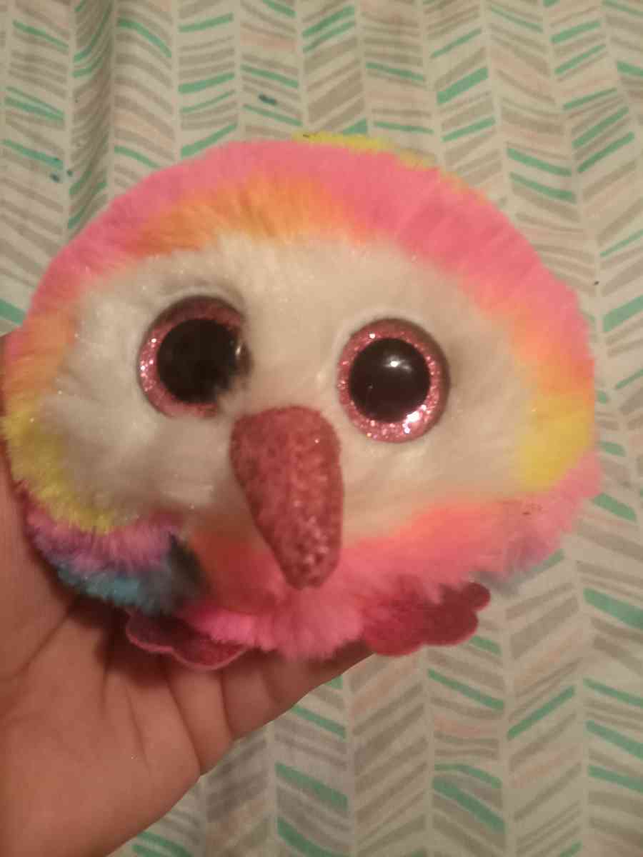 ty beenie - Holyoke, Massachusetts