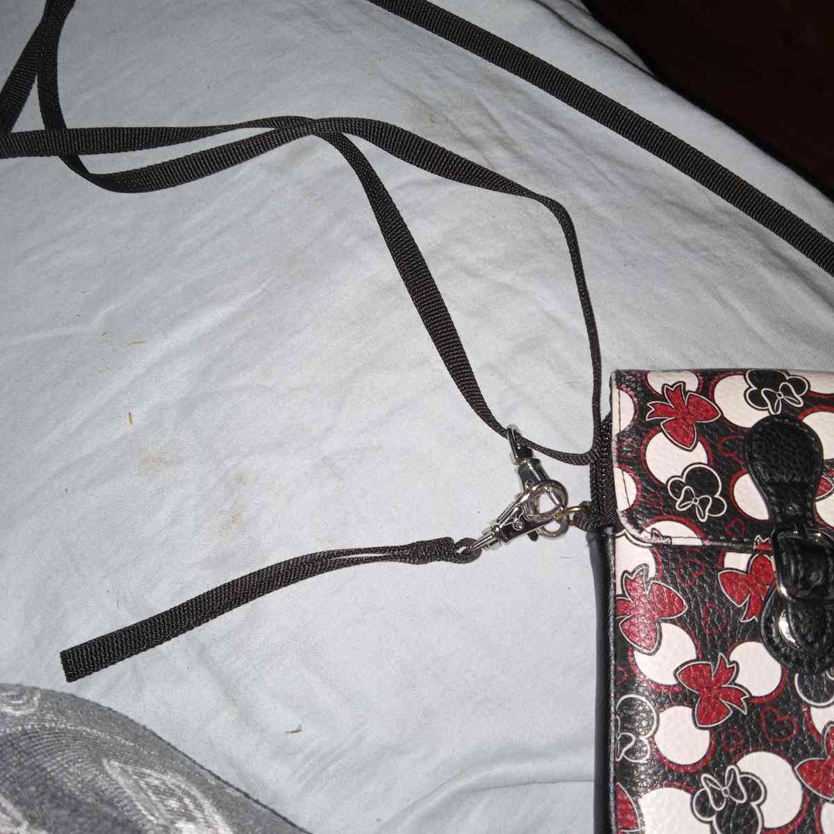 purse from Disney - Tampa, Florida