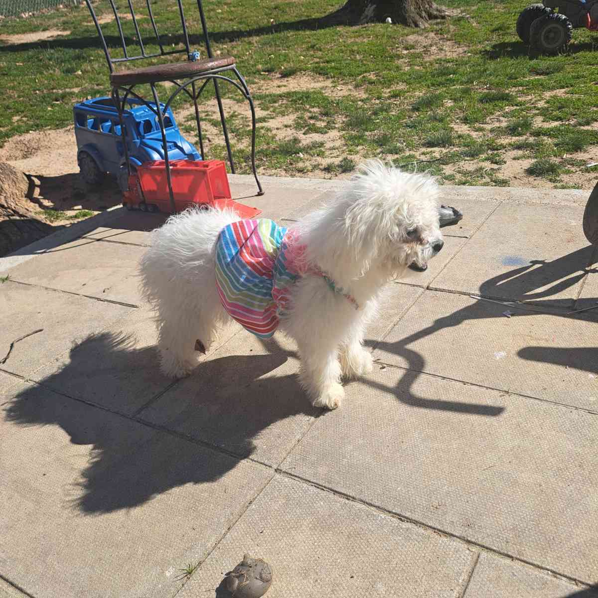 porq me movere - Fredericksburg, Virginia - FleaMarketBay