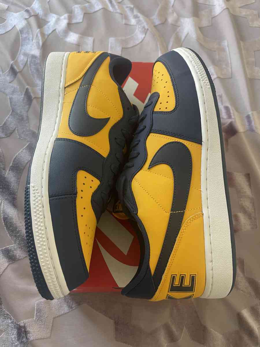 Nike Terminator Low OG - San Diego, California - FleaMarketBay