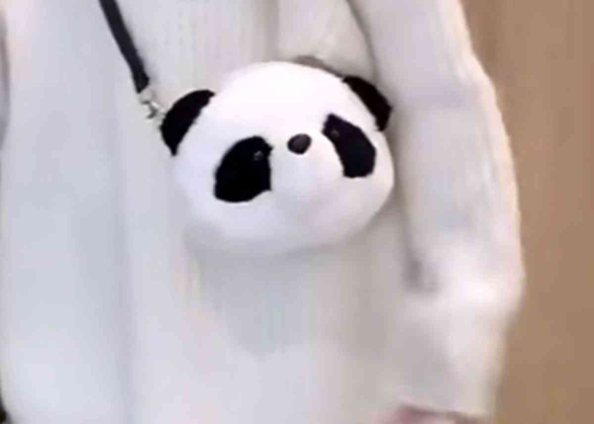 Brand New PANDA PURSE - Fresno, California