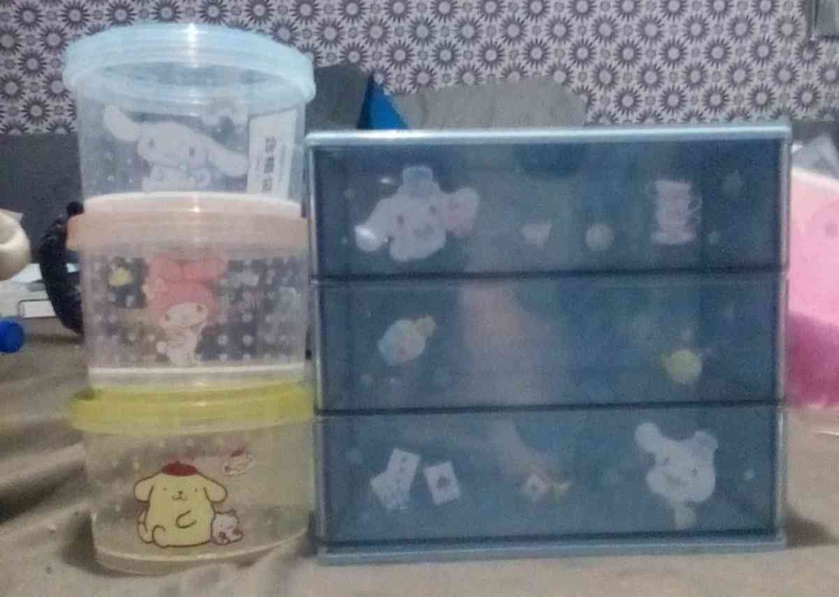 BN SANRIO ORGANIZERS - Fresno, California