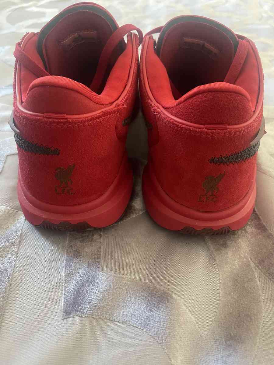 Nike Lebron XX - San Diego, California - FleaMarketBay