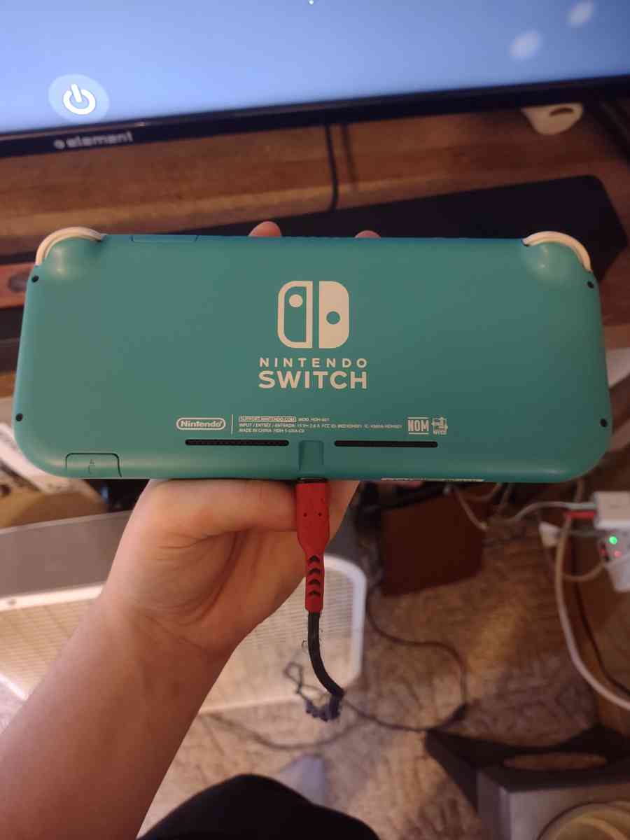 Nintendo Switch Lite - Rock Springs, Wisconsin - FleaMarketBay