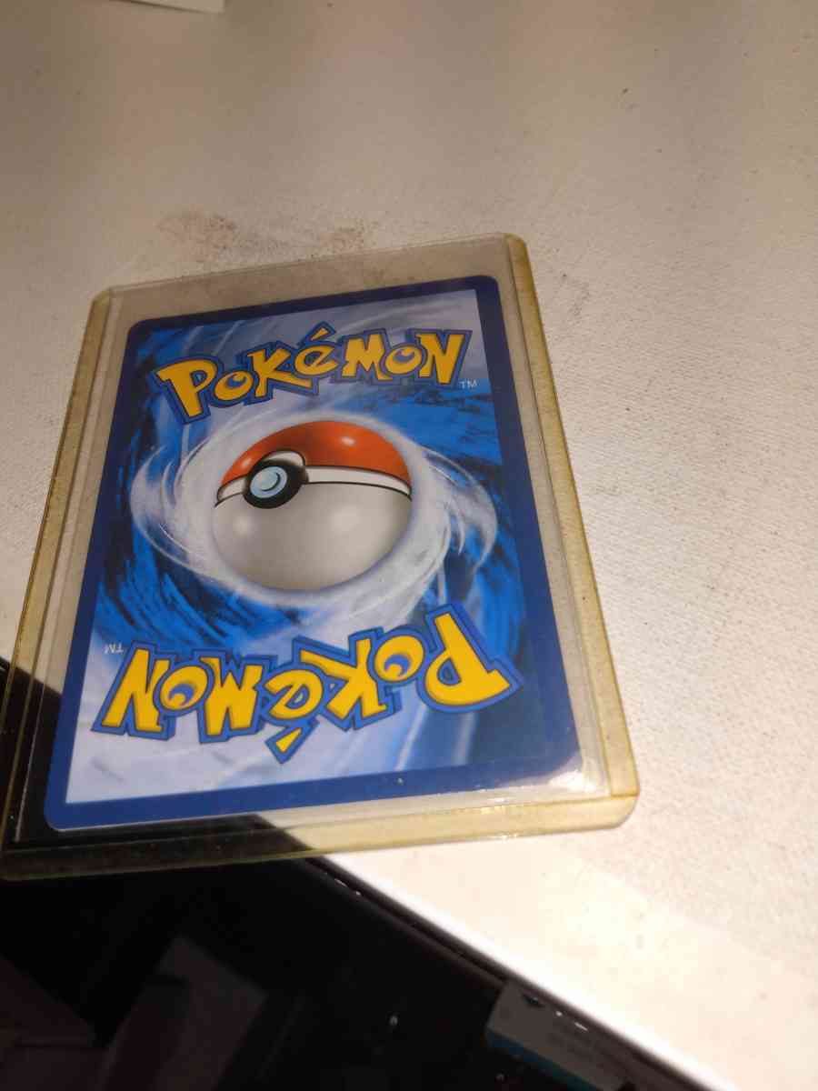 2017 Trainer Lillie - Alicia, Arkansas - FleaMarketBay