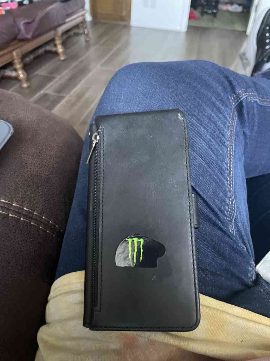 Samson phone case - Saint George, Utah