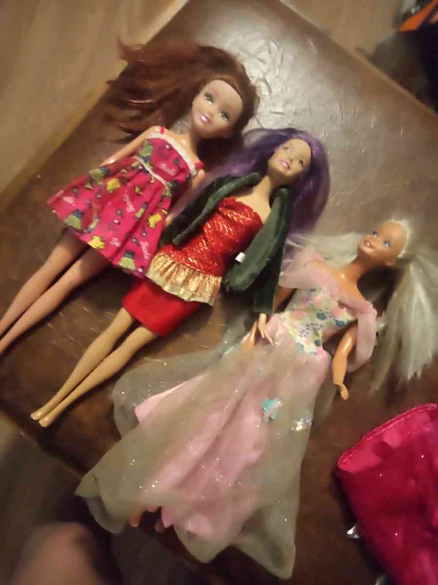 Barbies - Travelers Rest, South Carolina - FleaMarketBay