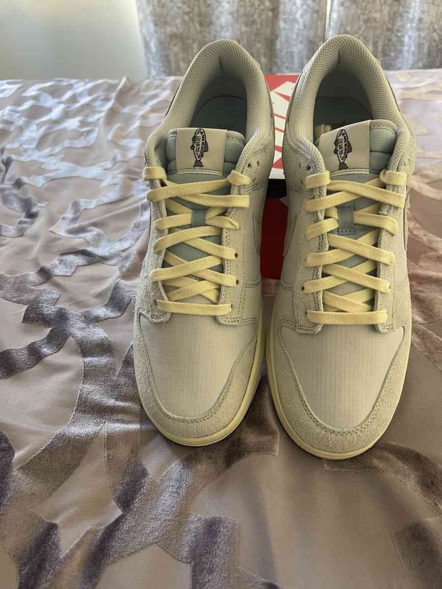 Nike Dunk Low Retro - San Diego, California - FleaMarketBay