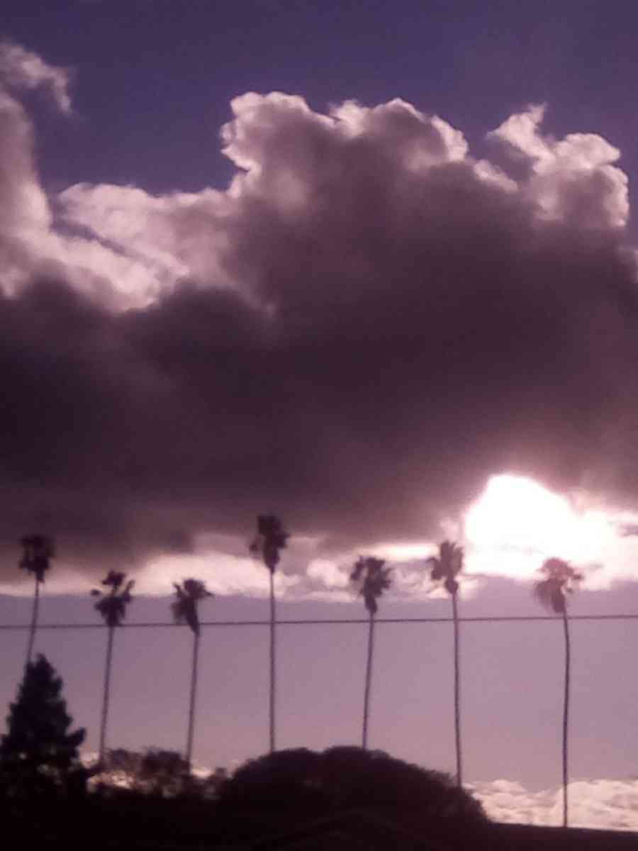 pictures for sell - Modesto, California - FleaMarketBay