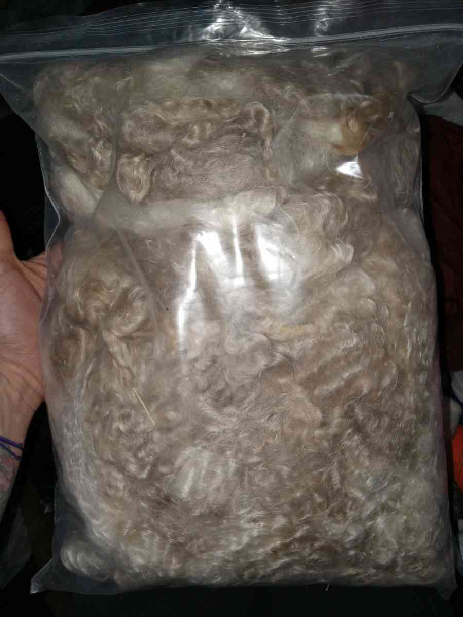 Goats Wool