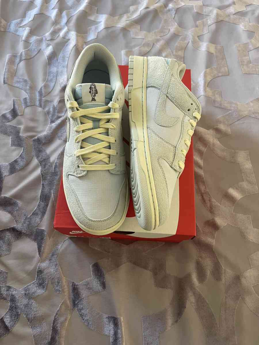 Nike Dunk Low Retro - San Diego, California - FleaMarketBay