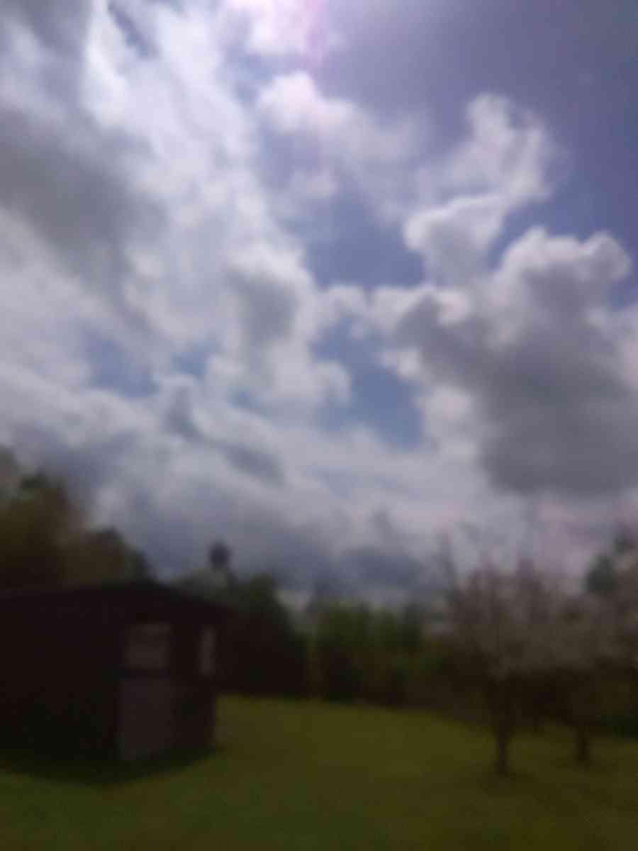 pictures for sell - Modesto, California - FleaMarketBay