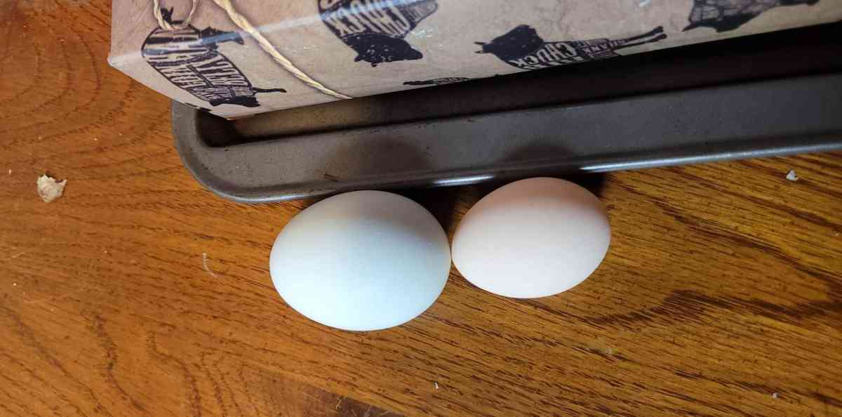 farm fresh eggs - Riverton, Utah - FleaMarketBay