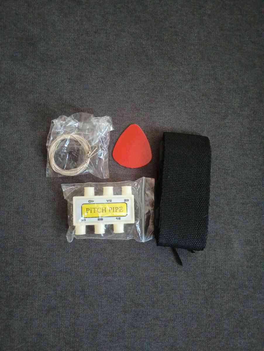 Pink Guitars - Chicago, Illinois - FleaMarketBay