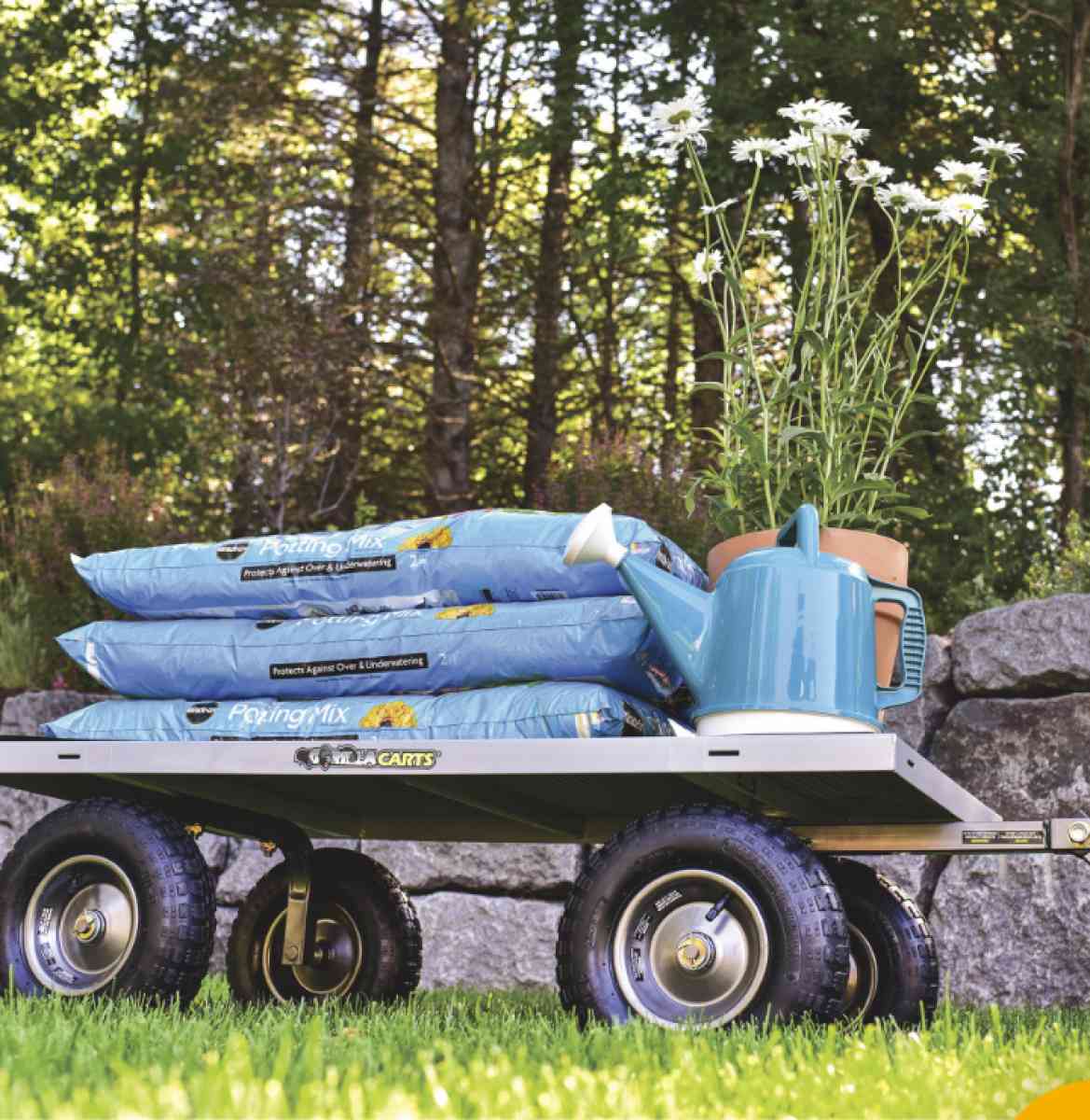 Garilla Cart - Indianapolis, Indiana - FleaMarketBay