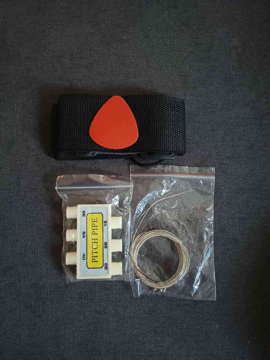 Pink Guitars - Chicago, Illinois - FleaMarketBay