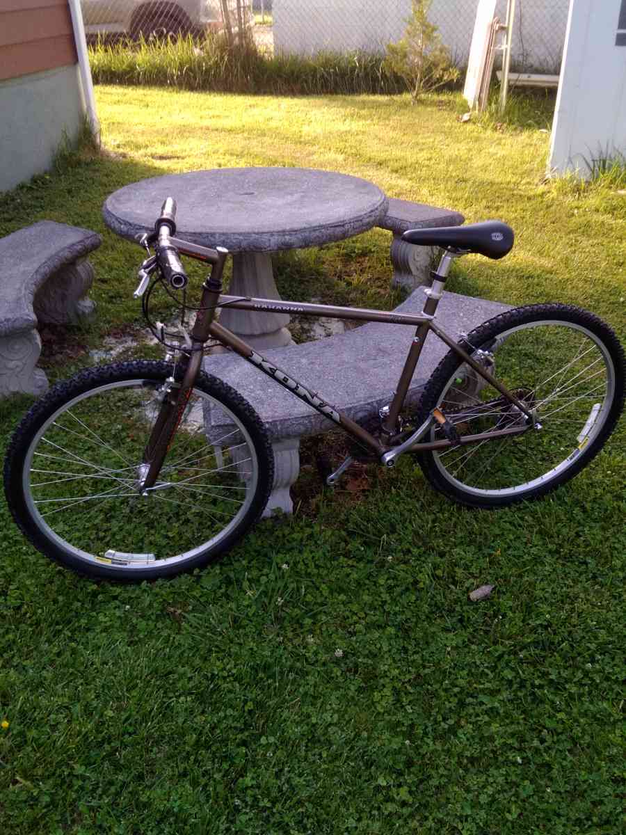 Kona light racing bike