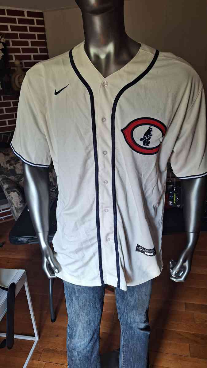 cubs jersey - Westmont, Illinois