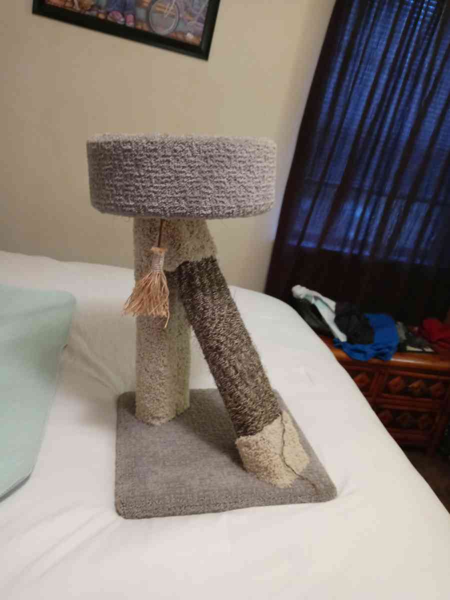 small cat tree - Hermitage, Tennessee