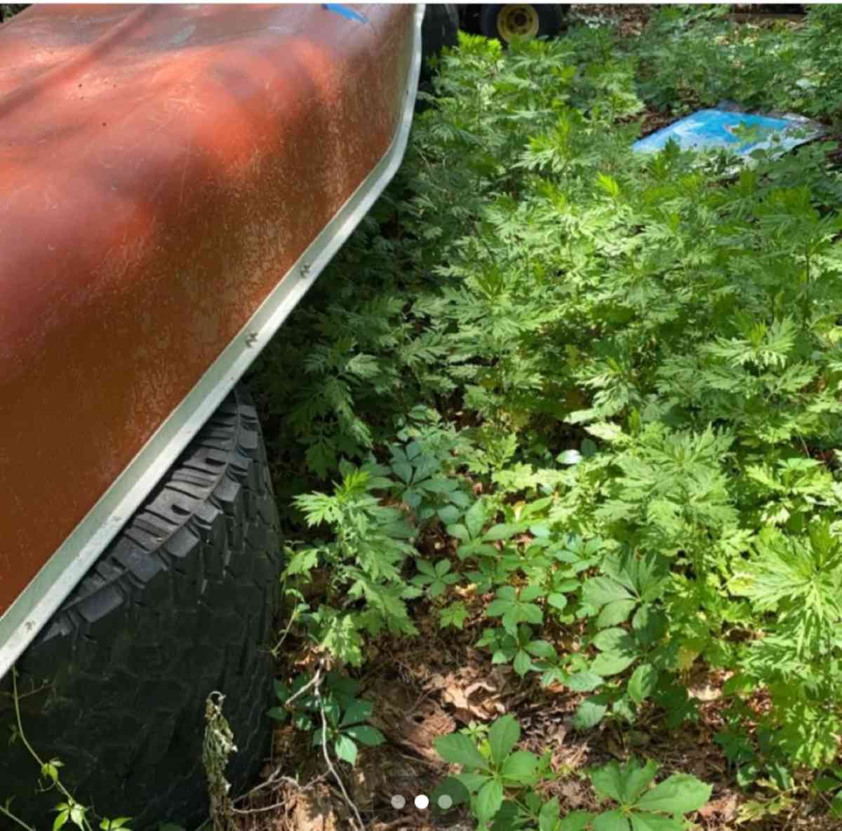17ft Coleman canoe - Little Egg Harbor Twp, New Jersey - FleaMarketBay