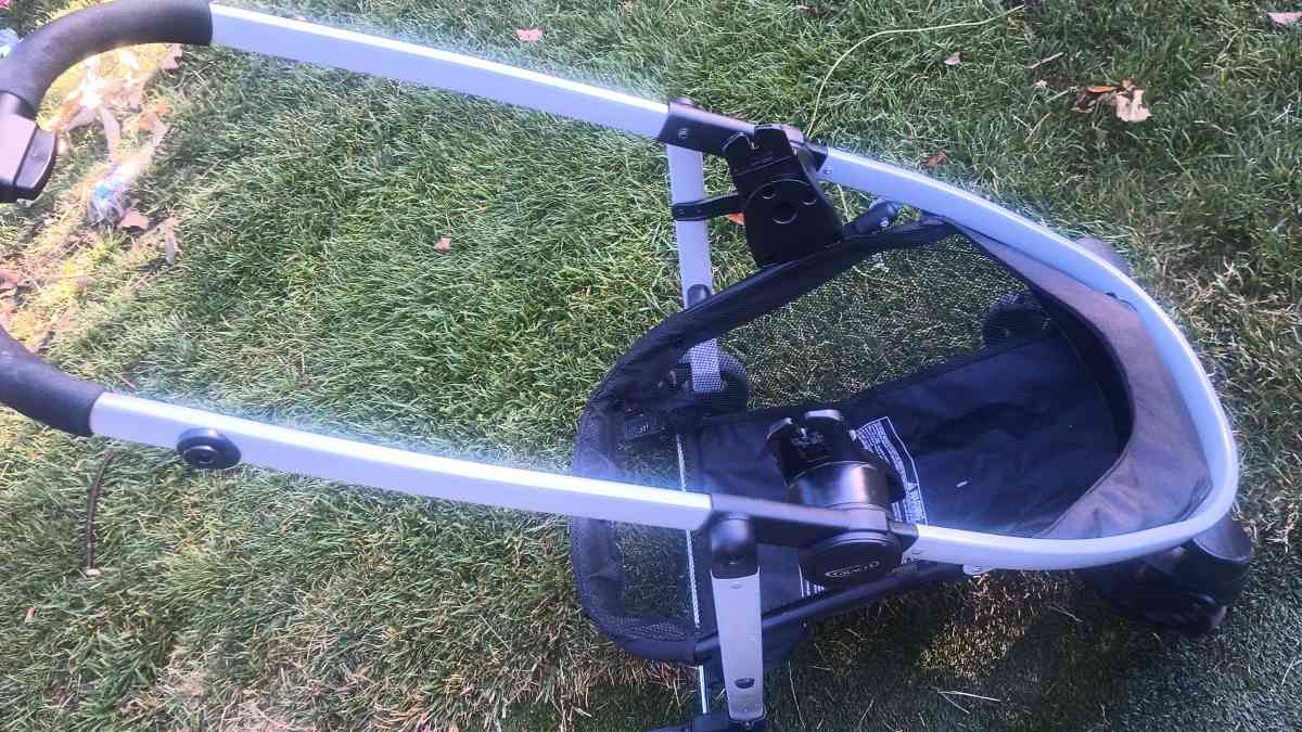 carreola - San Jose, California - FleaMarketBay