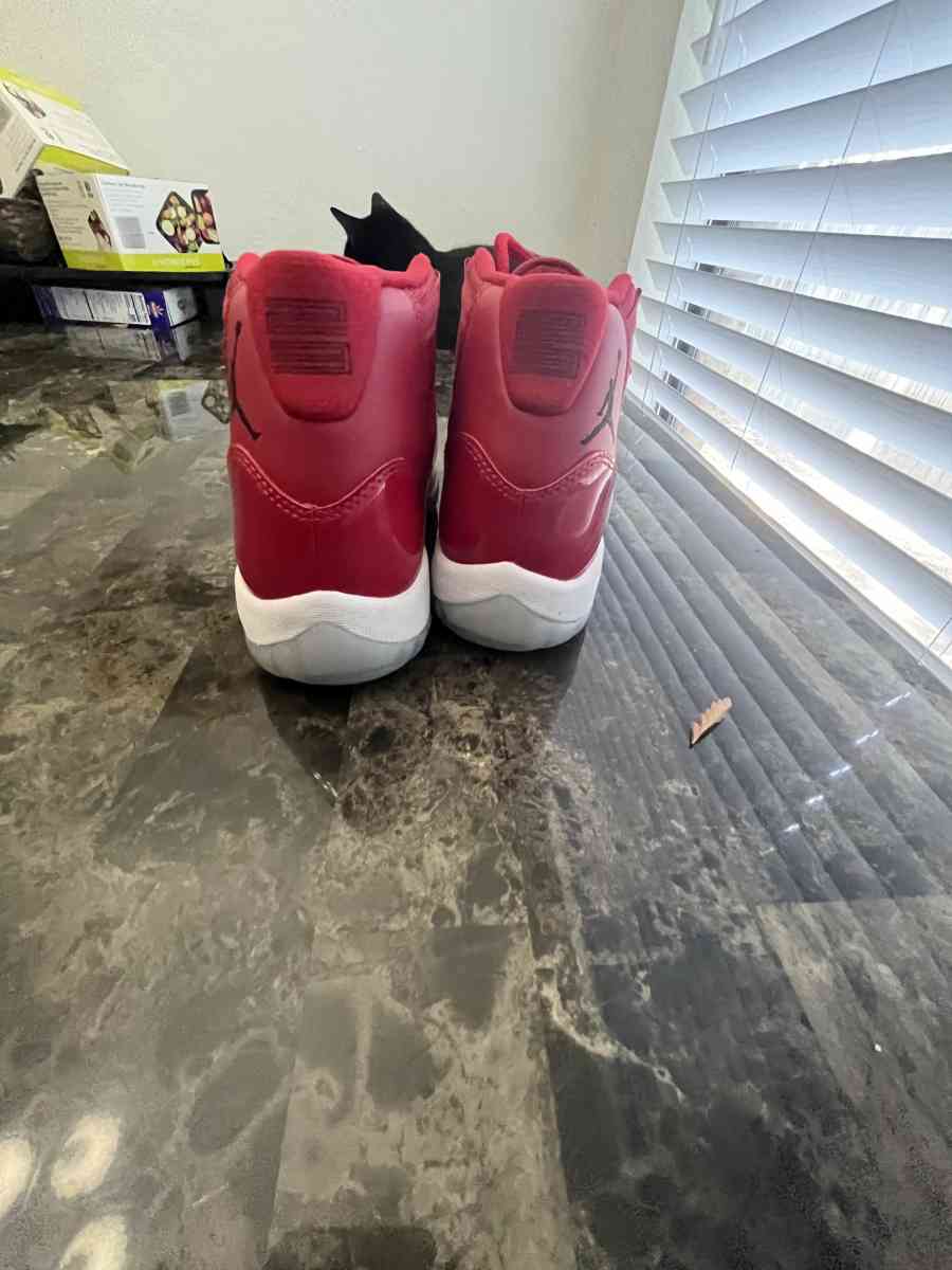 GYM RED 11s NEVER WORN size 95 - Arlington, Texas - FleaMarketBay