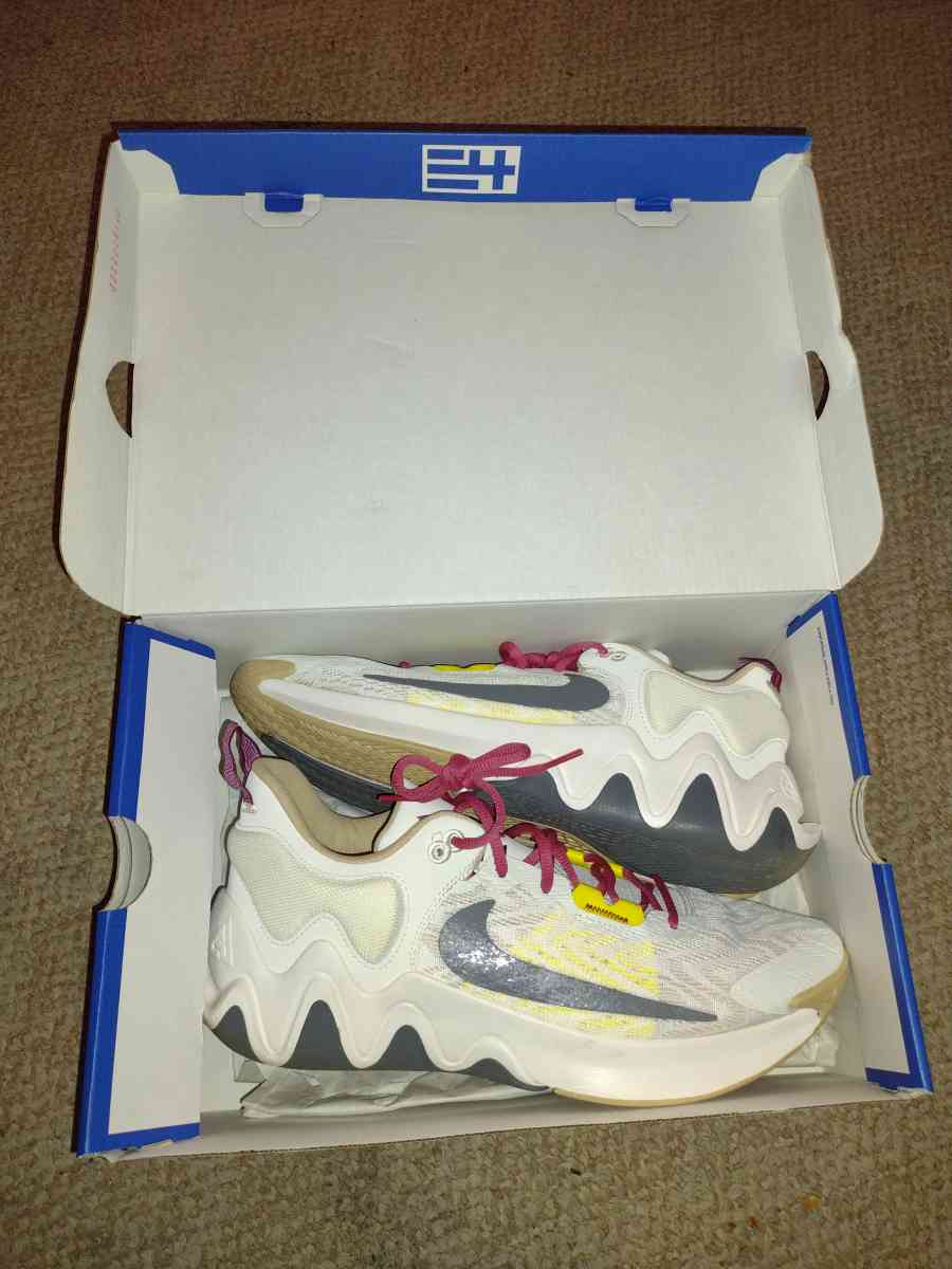 Nike shoes - Concord, North Carolina