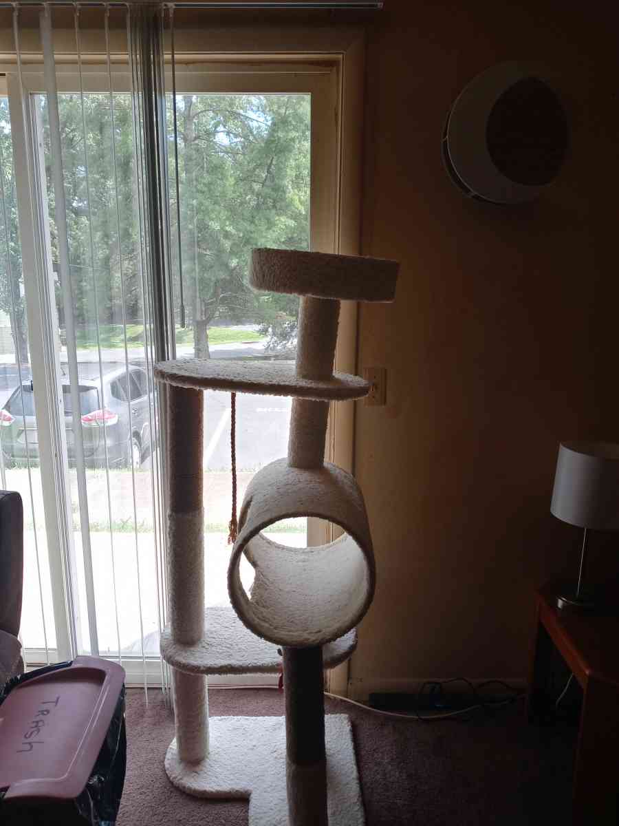 white cat tree - Hermitage, Tennessee