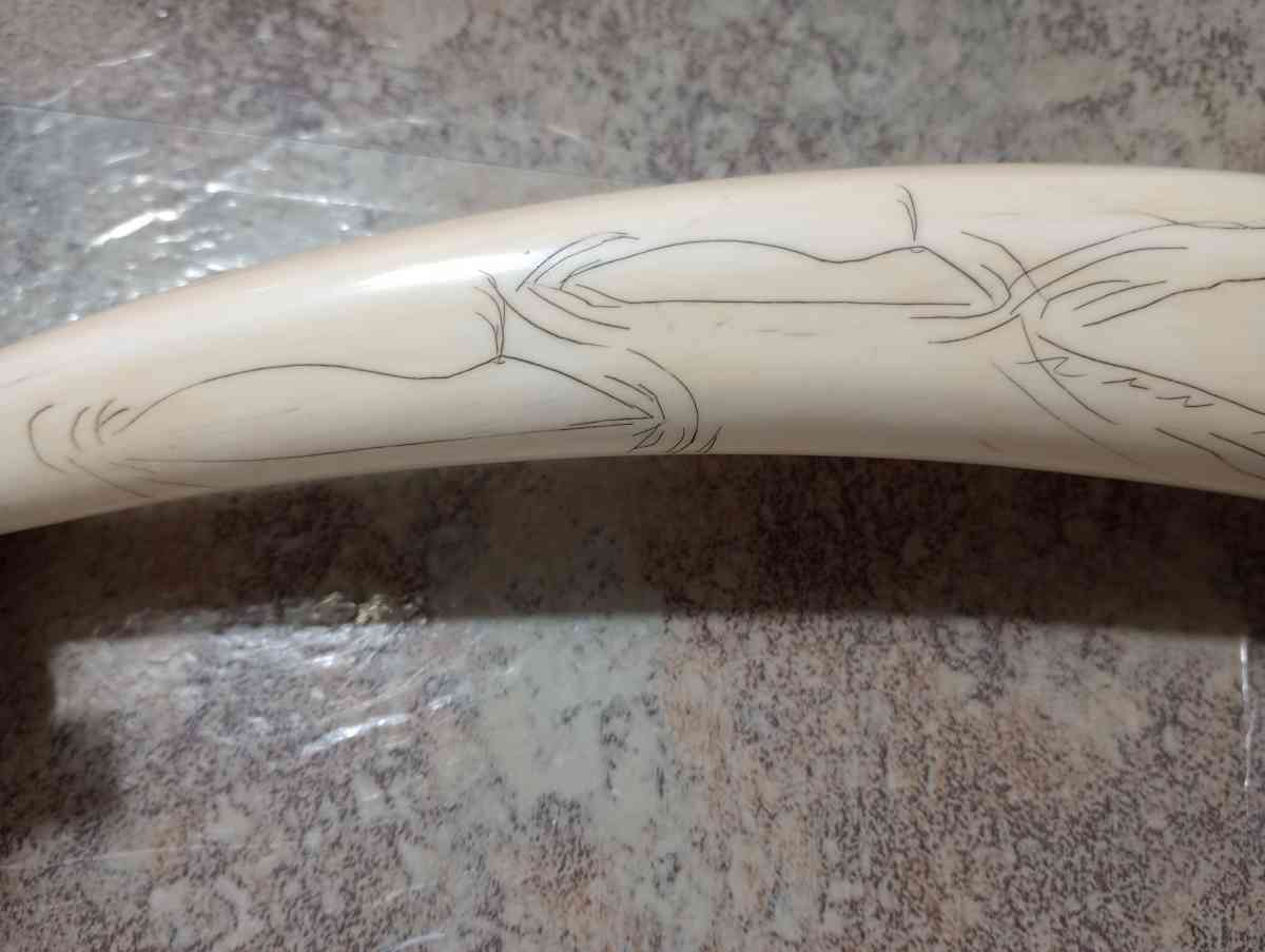 Authentic PreBan Alaskan Inuit Scrimshaw Handicraft Art - South Haven, Michigan - FleaMarketBay