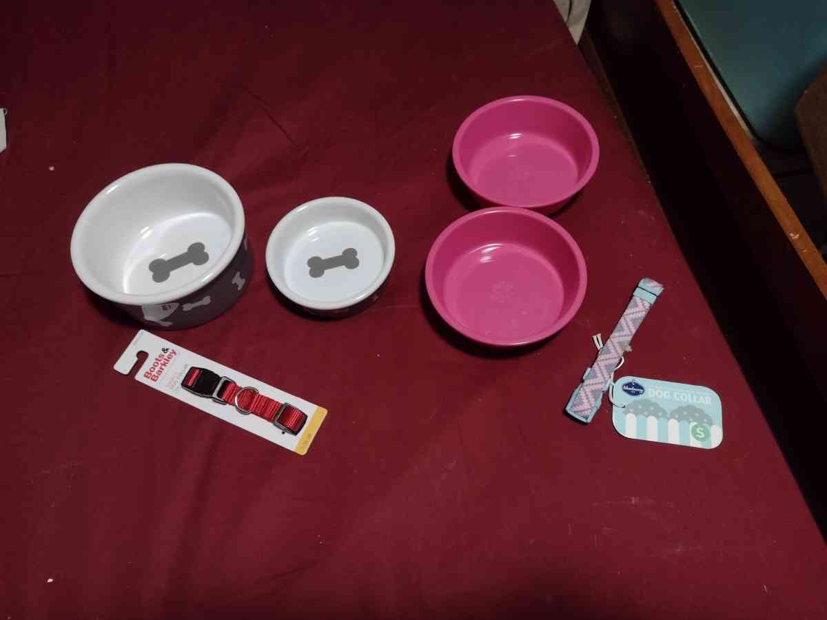 pet dishes