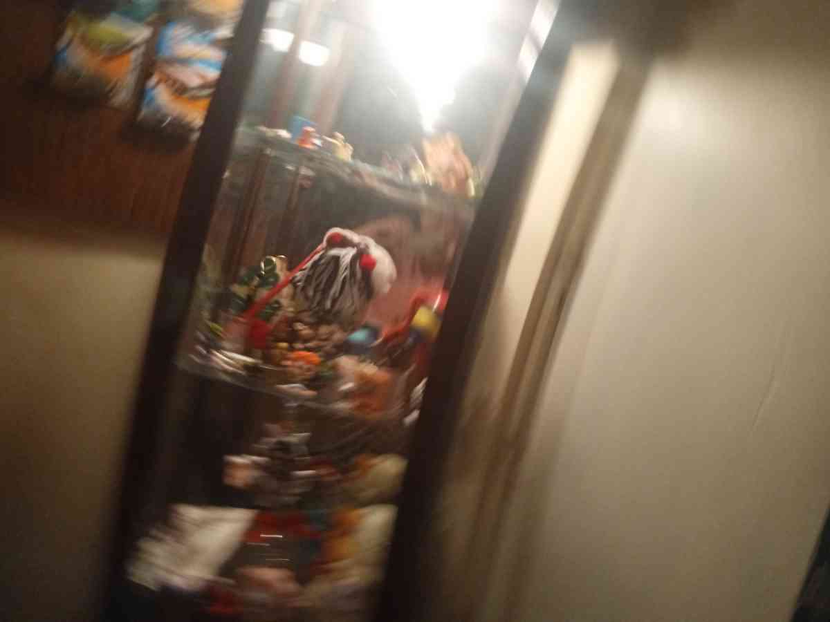 a curio cabinet - Douglasville, Georgia - FleaMarketBay