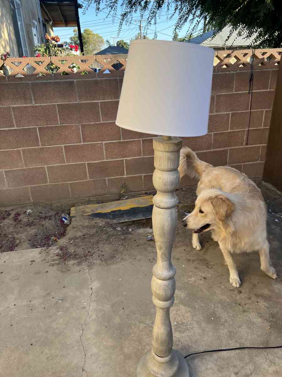 floor lamp - Bakersfield, California