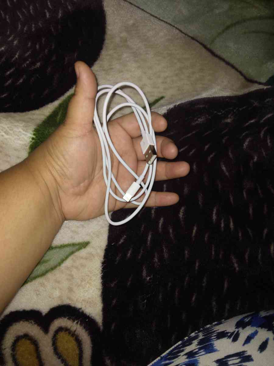 iphone charger - Riverside, California