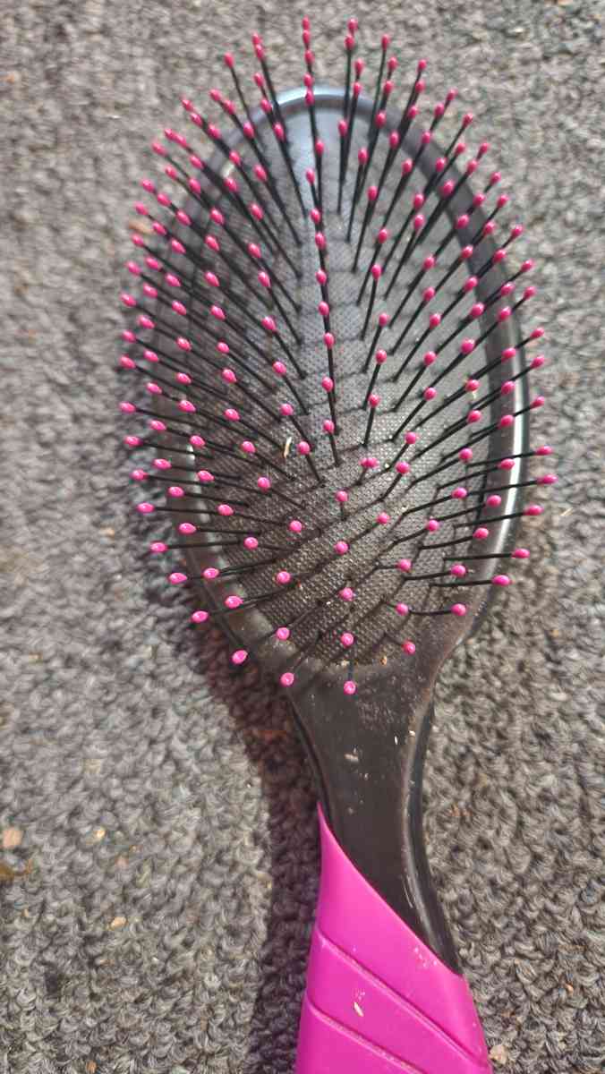 Cruella Devil Collectible Brush - Hawley, Pennsylvania - FleaMarketBay