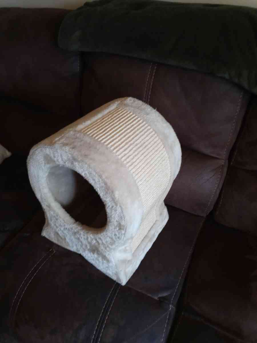 fish shaped scratching post - Hermitage, Tennessee