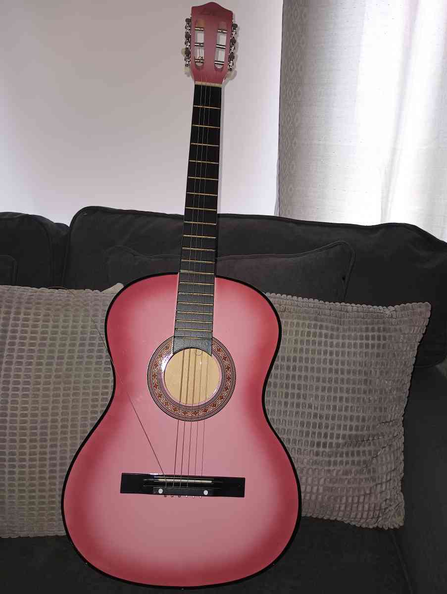 Pink Guitars - Chicago, Illinois - FleaMarketBay