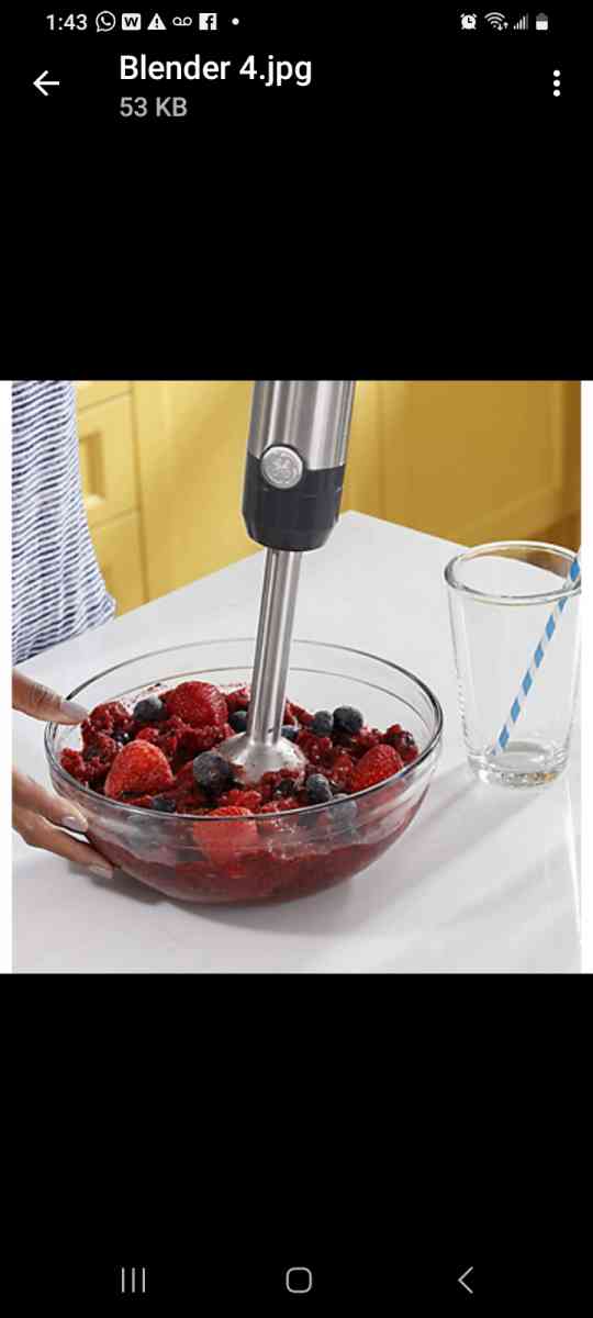 Handheld Blender - Pembroke Pines, Florida - FleaMarketBay