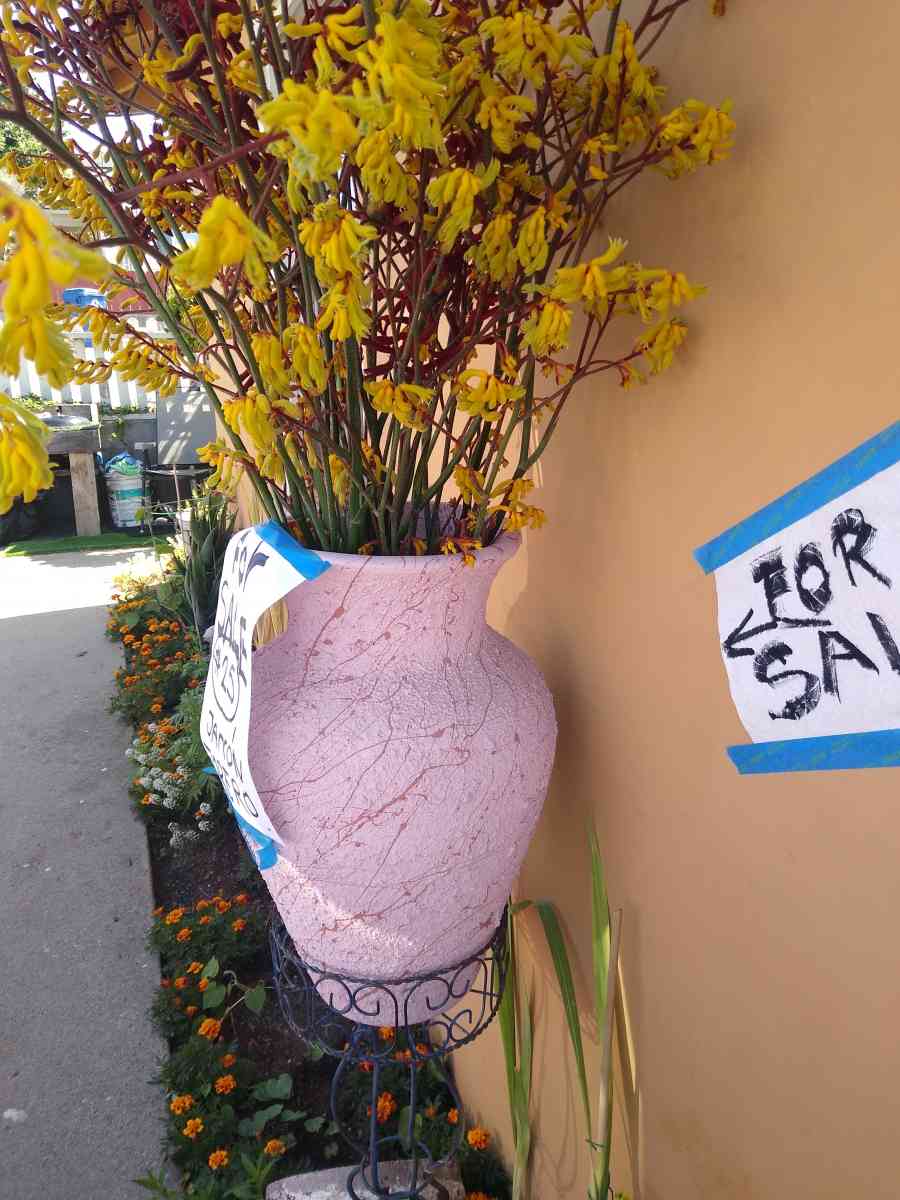 jarra florero - Adelanto, California - FleaMarketBay