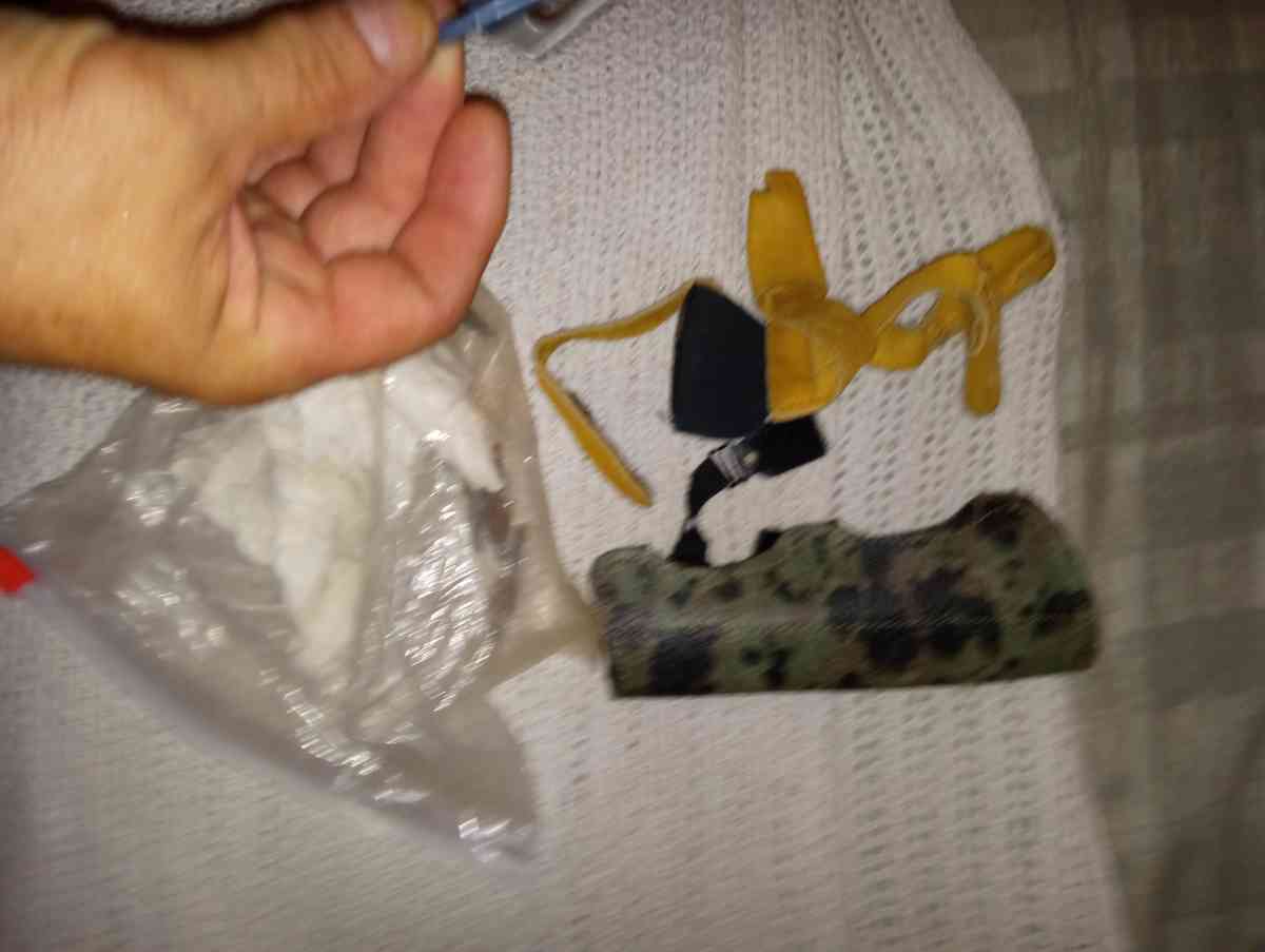 Fred Bear Signature Jennings Bow with 9 Arrows and Tips - Bunnell, Florida - FleaMarketBay