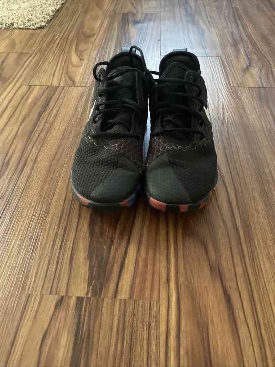 lebron witness 3s - Dayton, Ohio