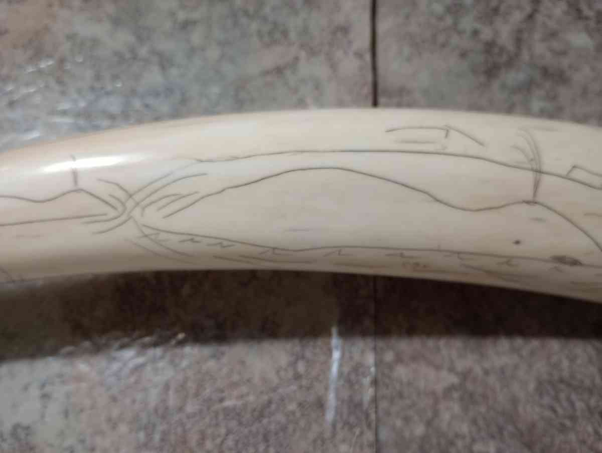 Authentic PreBan Alaskan Inuit Scrimshaw Handicraft Art - South Haven, Michigan - FleaMarketBay