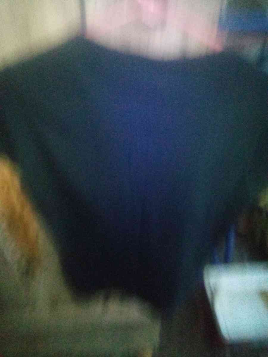 women Harley Davidson shirt - Clarksville, Tennessee - FleaMarketBay