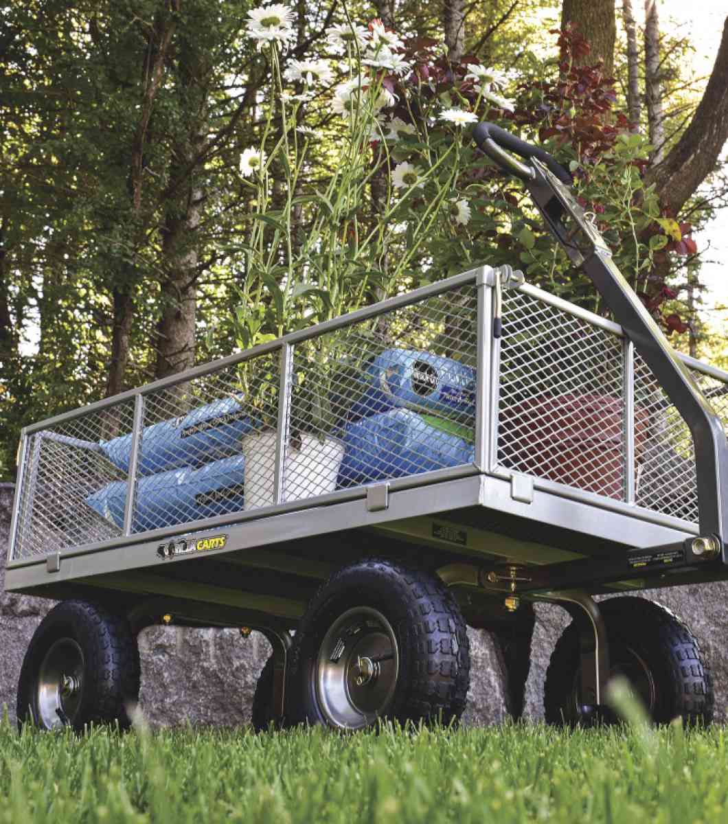 Garilla Cart - Indianapolis, Indiana