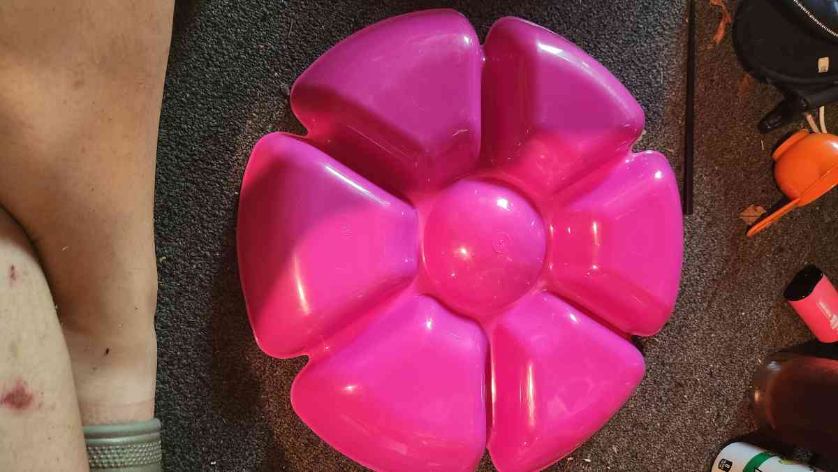 Divided Tray for Fruit and Dip in the Middle - Hawley, Pennsylvania - FleaMarketBay